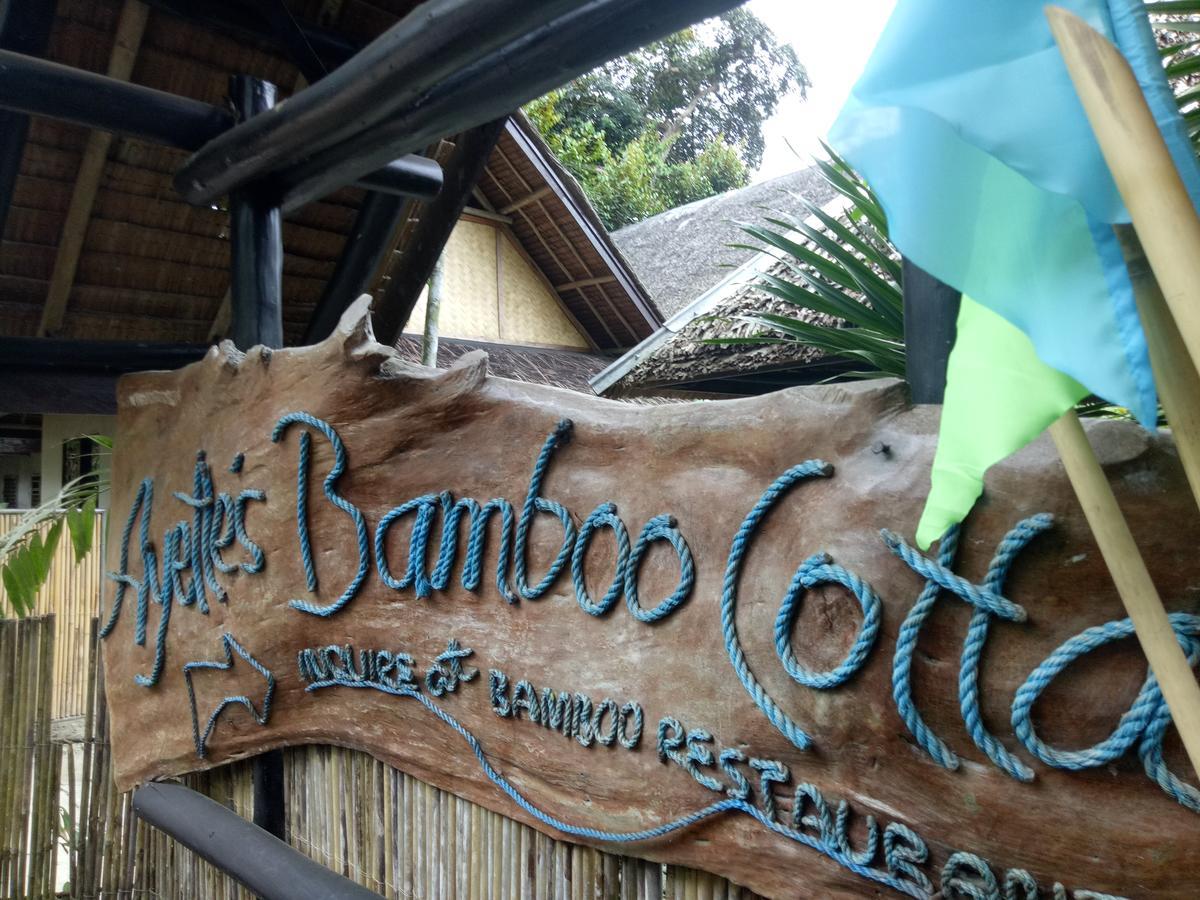 Ayette'S Bamboo House Restaurant And Cottages 산 비센테 외부 사진